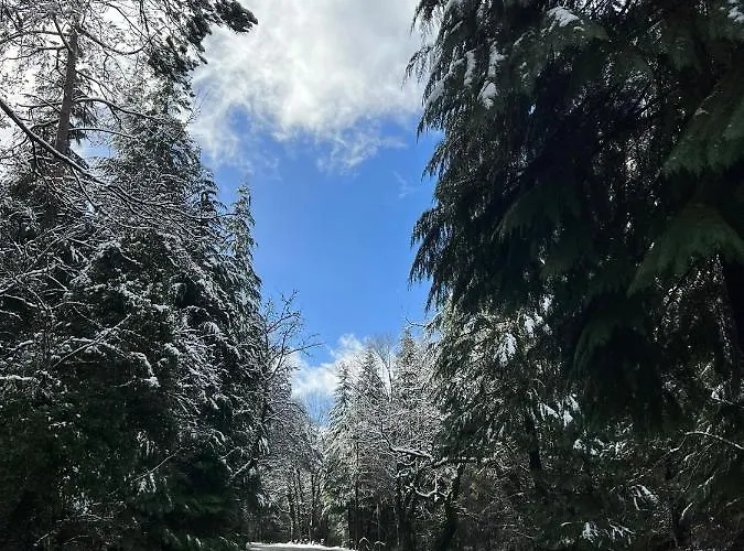 Casa Da - Pool & Hot Tub With Mountain View In Geres Villa Terras de Bouro